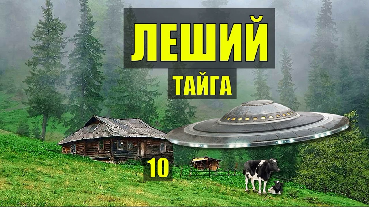 НЛО ПРИБЫЛО ПОПАДАНЦЫ МИСТИКА ЛЕШИЙ в ТАЙГЕ СУДЬБА ДОМ в ЛЕСУ КНИГА ИСТОРИИ из ЖИЗНИ АУДИОКНИГА 10