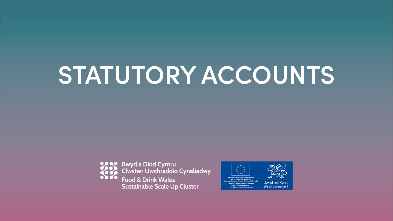 Statutory Accounts