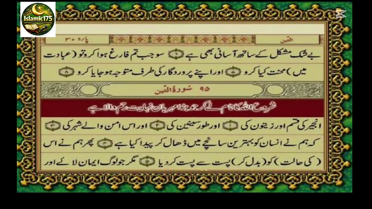 سورة التين | تلاوة خاشعة من القرآن الكريم | Surah At-Tin#سورة_التين#القرآن_الكريم#تلاوة_قرآنية#quran