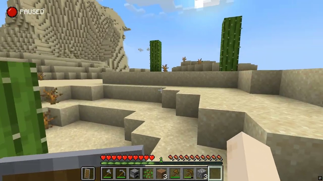 How I SURVIVED the Lifesteal SMP
