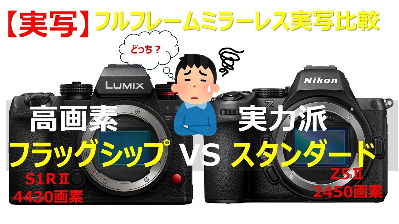 【実写】LUMIX S1R II vs Z5 II、高い方が正解？フラグシップ機とスタンダード機の比較をしてみた！#nikonz5ii #lumixs1rⅡ #実写 #nikon #lumix