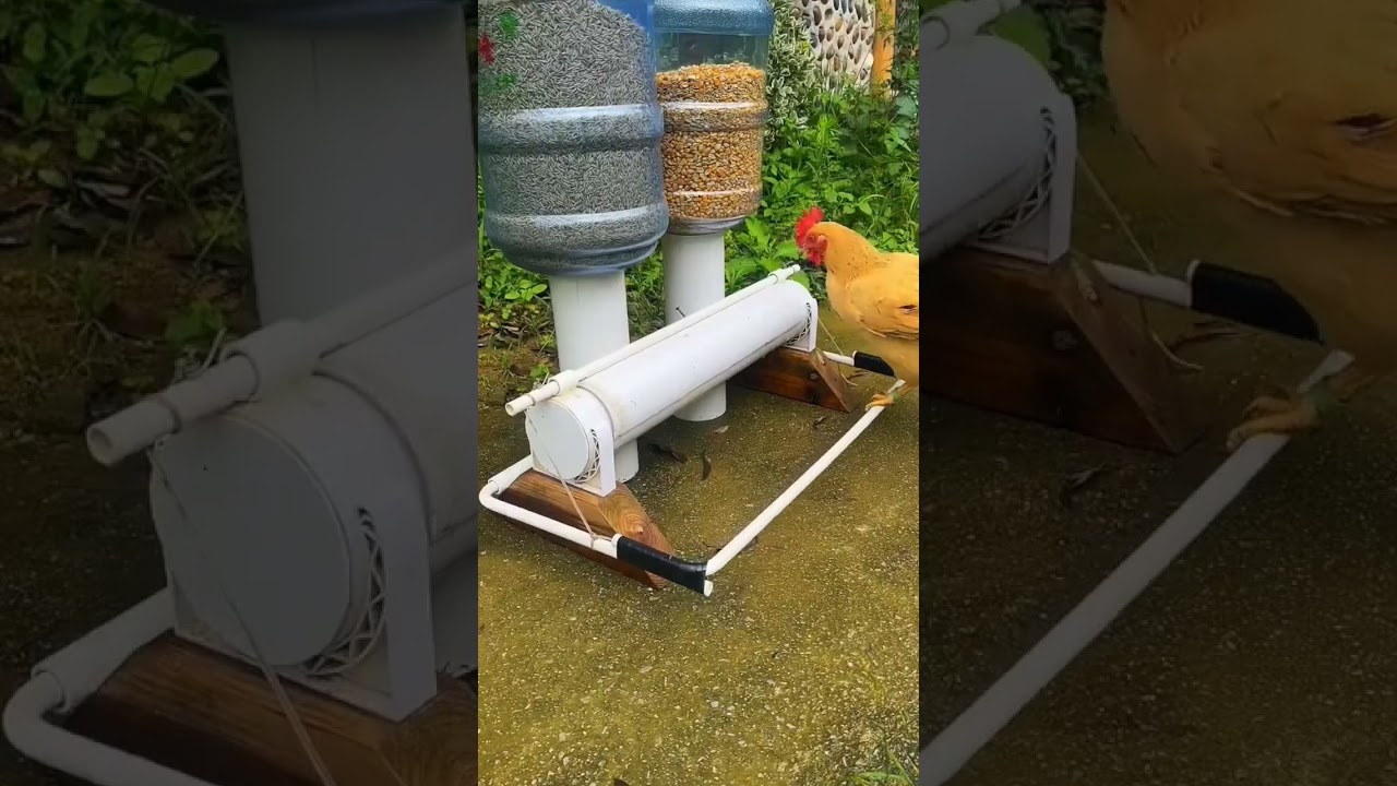 Simple poultry farming tools, really useful and convenient #goodthing #gadgets