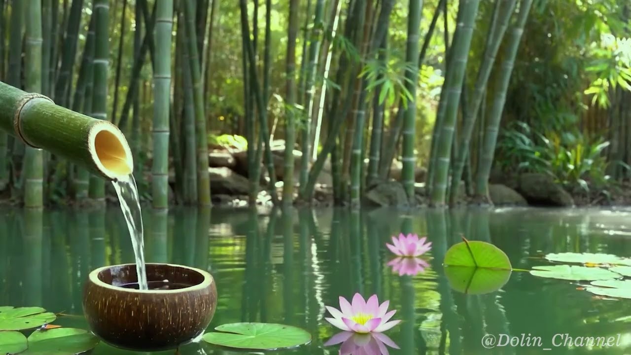 Peaceful Bamboo Water Garden 🌿 10 Hour Relaxing Nature Sounds