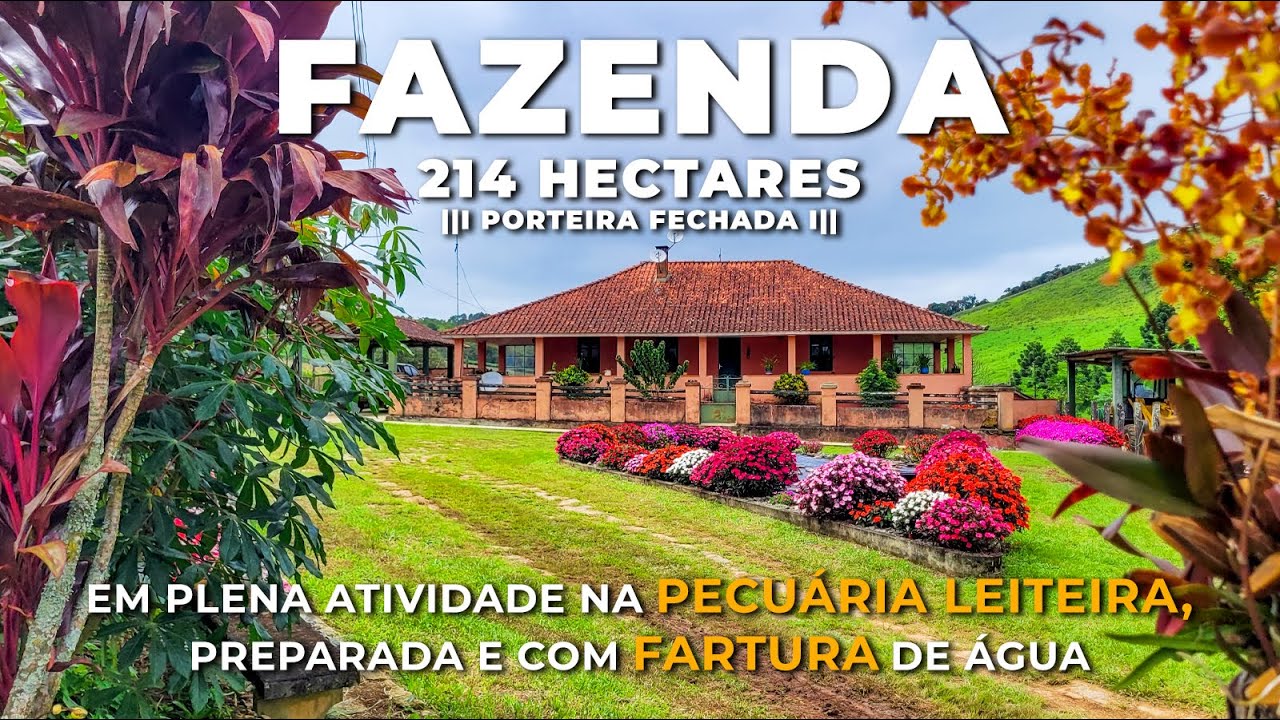 FAZENDA 214 HECTARES, PECUÁRIA LEITEIRA DE PORTEIRA FECHADA
