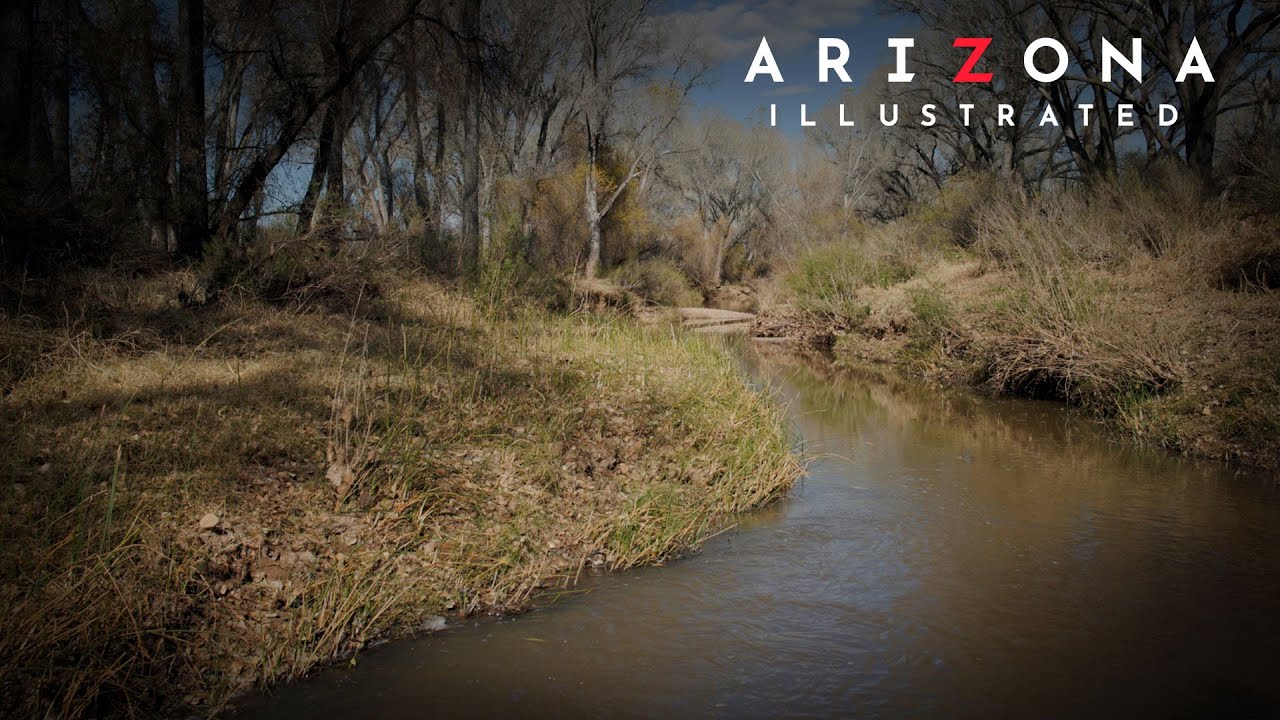 Arizona Illustrated 931 - Sierra Vista’s New Mayor, Beaver River, UArizona at Sierra Vista