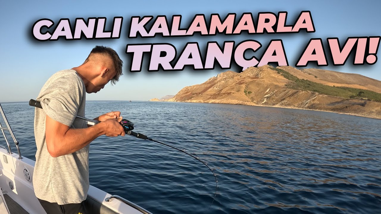 CANLI KALAMAR İLE TRANÇA YAKALADIK !!!