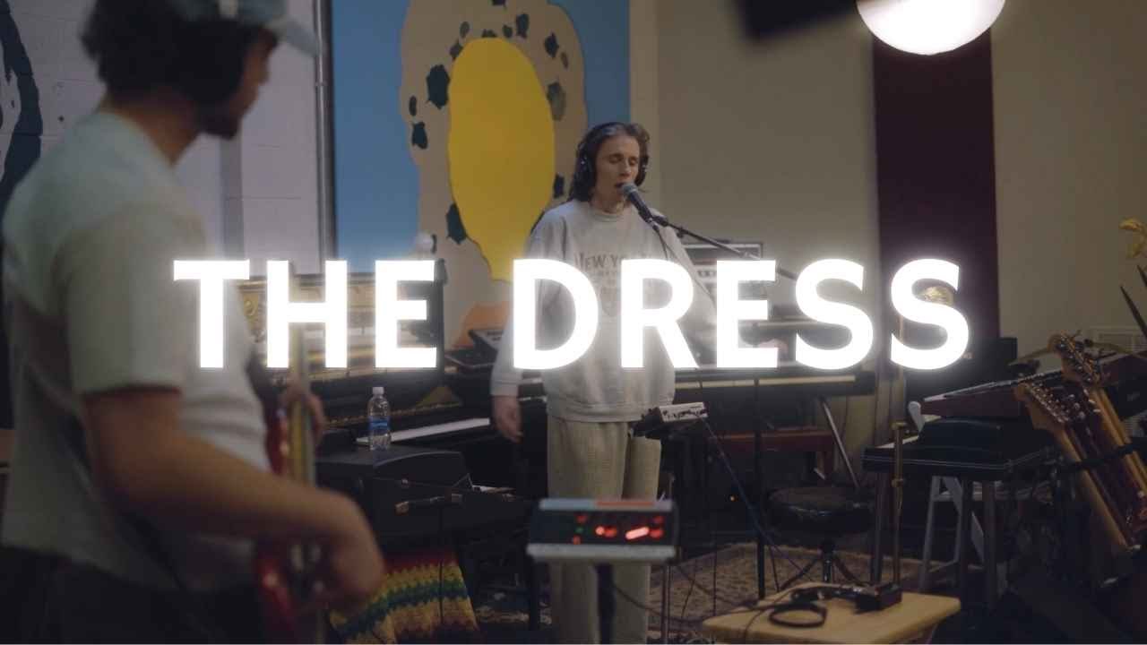 Dogpark - The Dress (Dijon Cover)