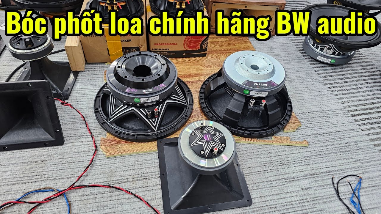 B&oacute;c phốt loa ch&iacute;nh h&atilde;ng trung ương china xịn BW audio,c&oacute; g&igrave; hay ? Zalo:0971.088.499