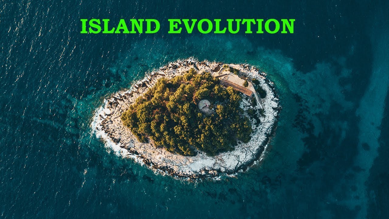 Curiosities of Island Evolution