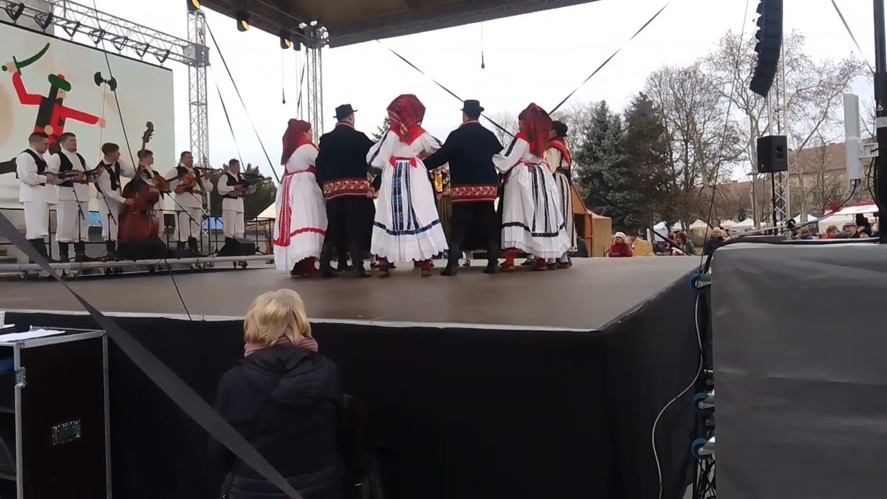ZELJEZNICAR HORVÁT KULTURÁLIS MŰVÉSZETI EGYÜTTES-BUSÓJÁRÁS-MOHÁCS-2026-02-14-