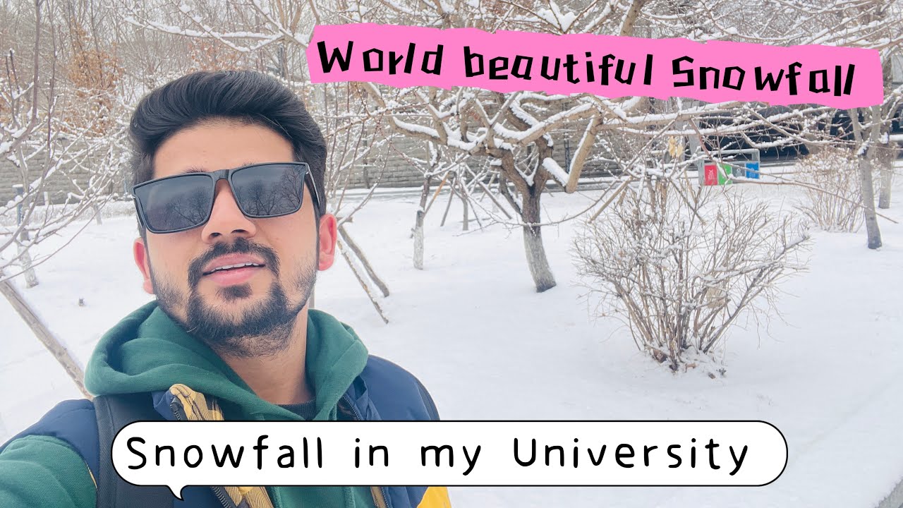 ❄️ Stunning Snowfall in Harbin - March 27, 2025! ❄️