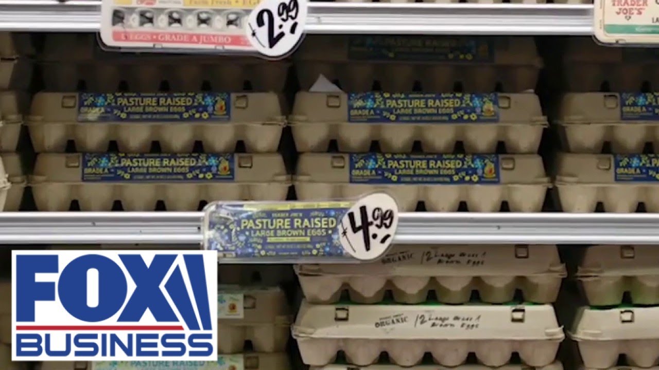 CONSPIRACY: DOJ investigates potential egg price fixing