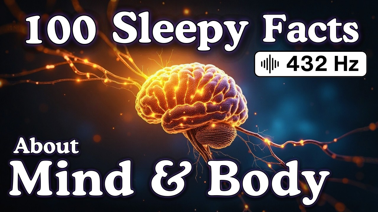 The Most Relaxing Facts About Mind & Body to Fall Asleep To — No Adverts