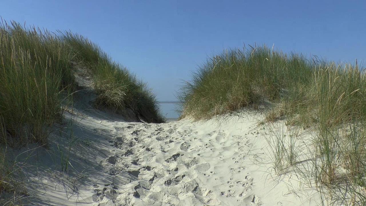 Spiekeroog - Ein Besuch auf der grünen Insel