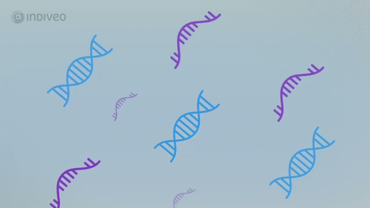 Moleculaire Diagnostiek  Medische Microbiologie (Indiveo)