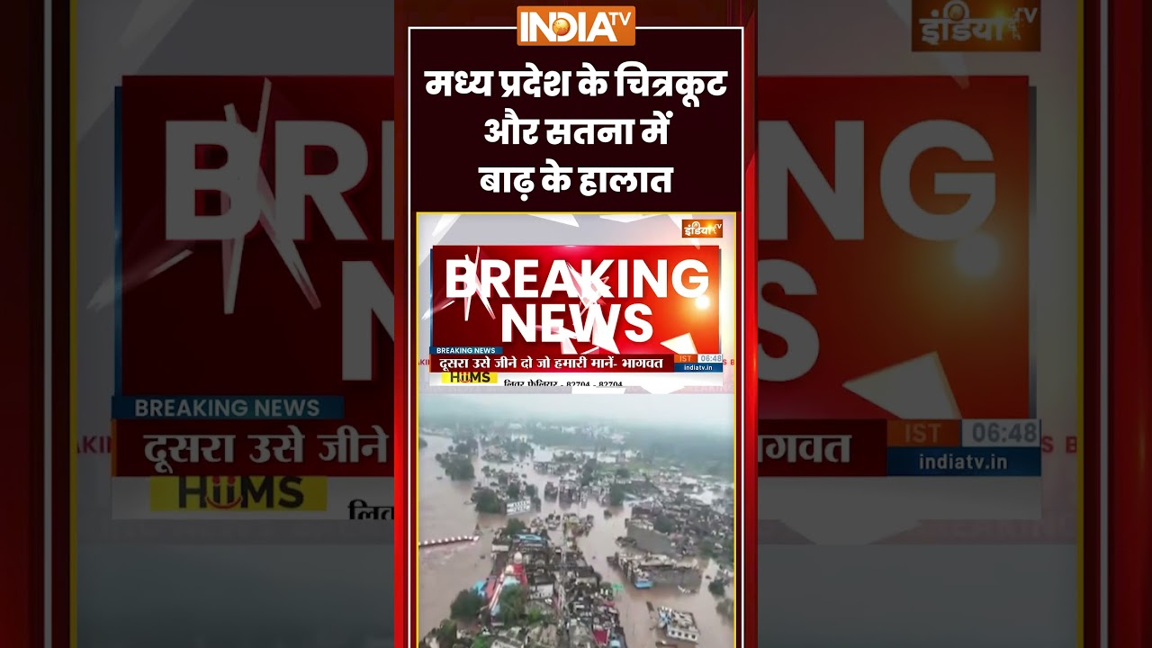 #madhyapradesh के चित्रकूट और सतना में बाढ़ के हालात #flood #heavyrainfall #ytshorts #indiatv