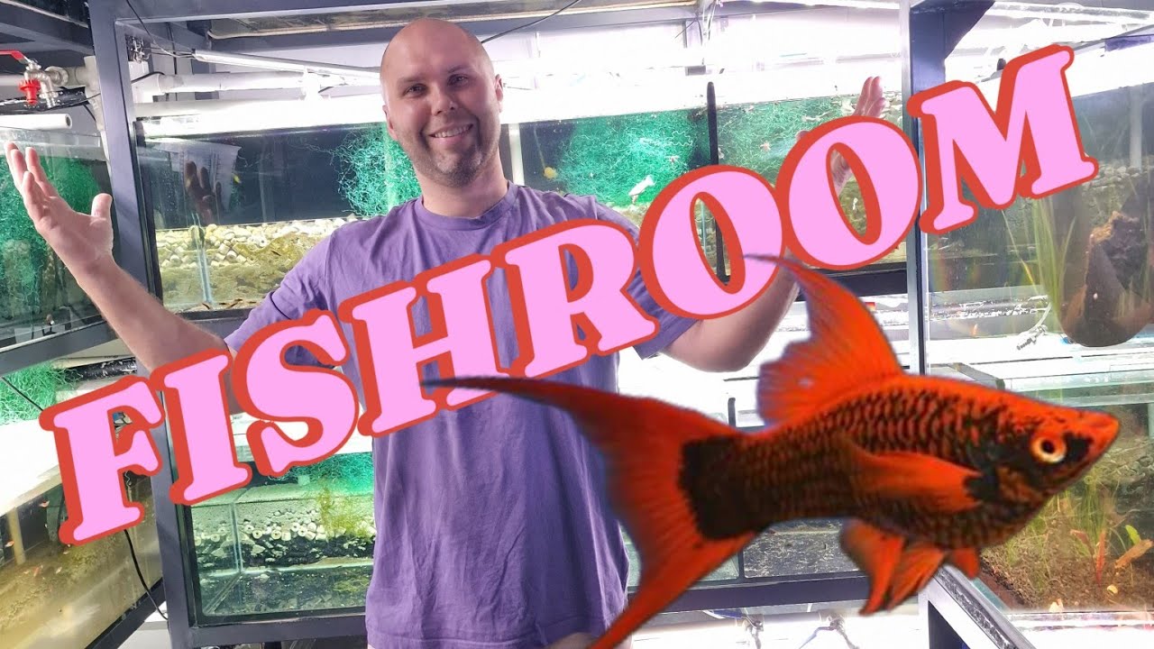 Fishroomu - mój raj....