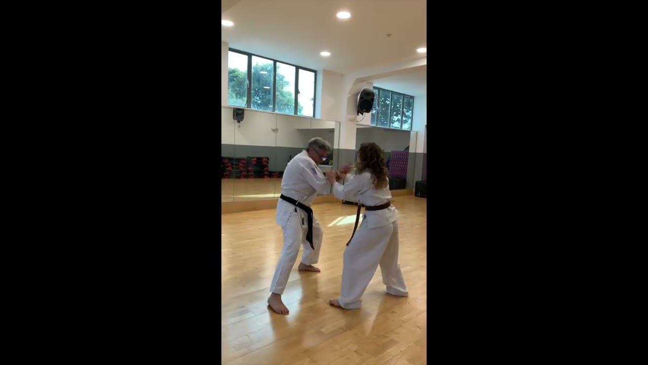 Tekki Nidan Bunkai Karate