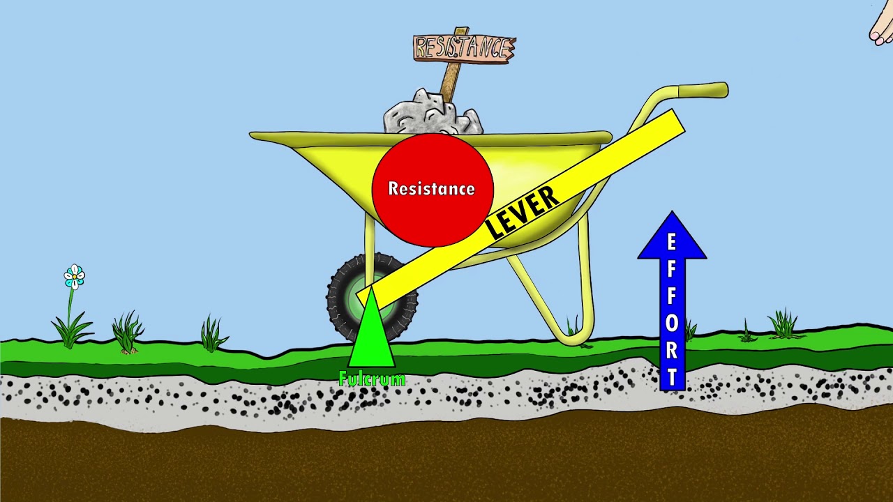 The 3 Classes of Levers || How we use levers in the world and our bodies  || By: Kinesiology Kris