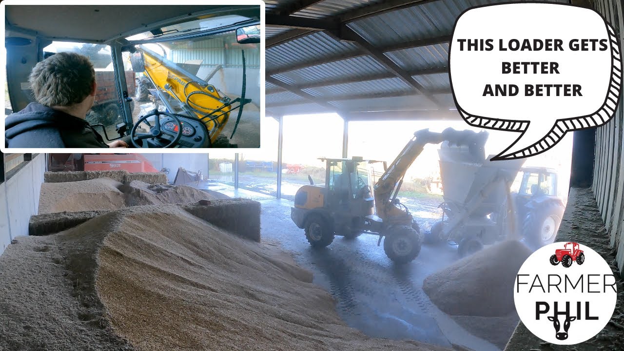 THE BEST LOADER I'VE EVER USED TO ROLL BARLEY | PAUS SWING LOADER