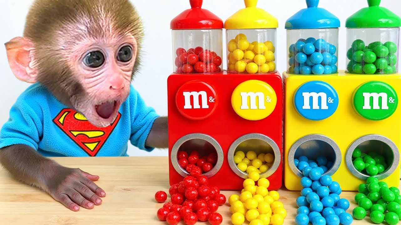 Mono Bon Bon explora la casa inflable de agua y descubre regalos sorprendentes
