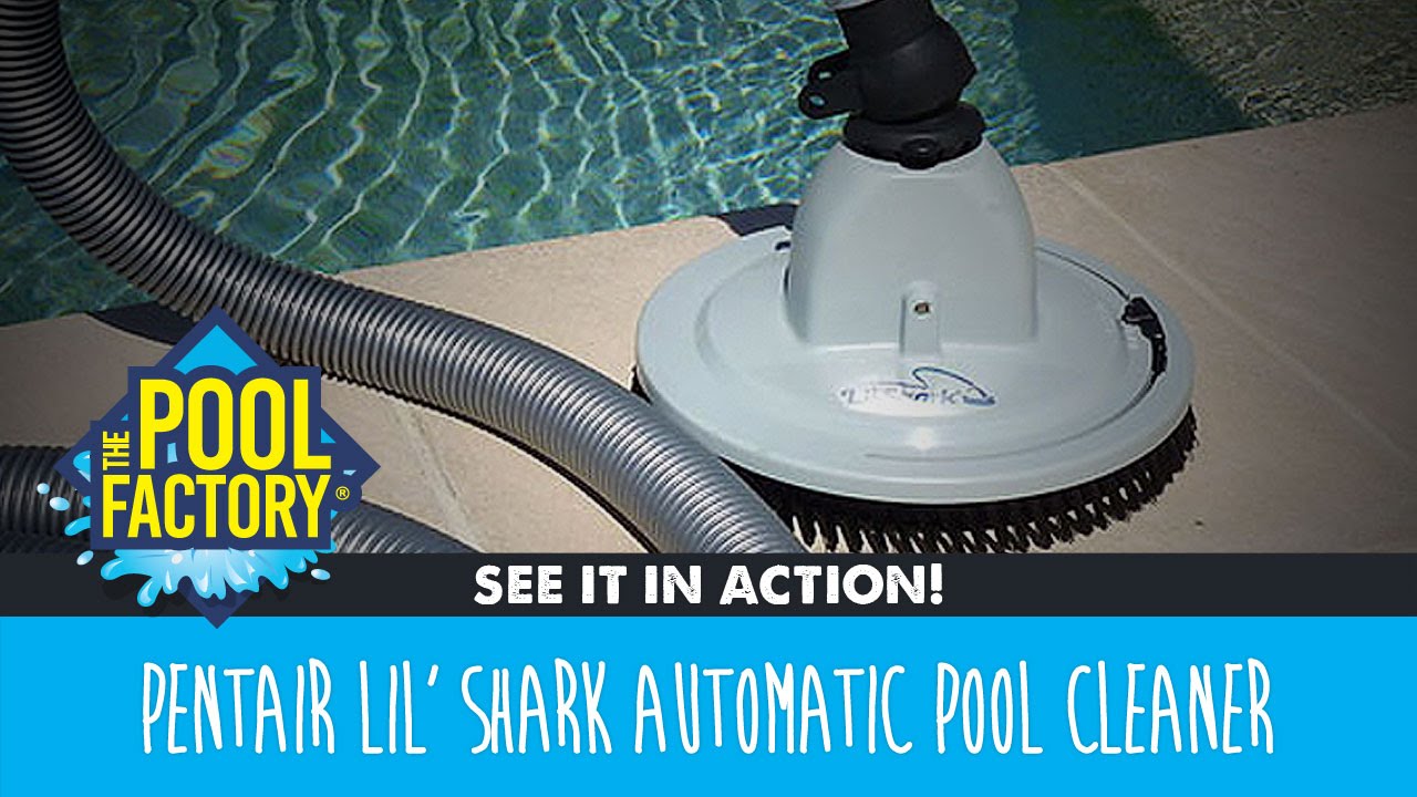 Pentair Lil' Shark Pool Cleaner - SEE IT IN ACTION!