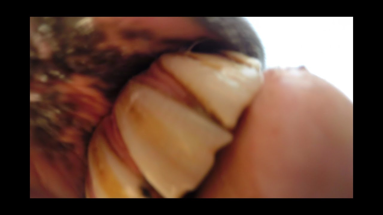Oeps our Horse Ragna eats the Go Pro!!!!!!