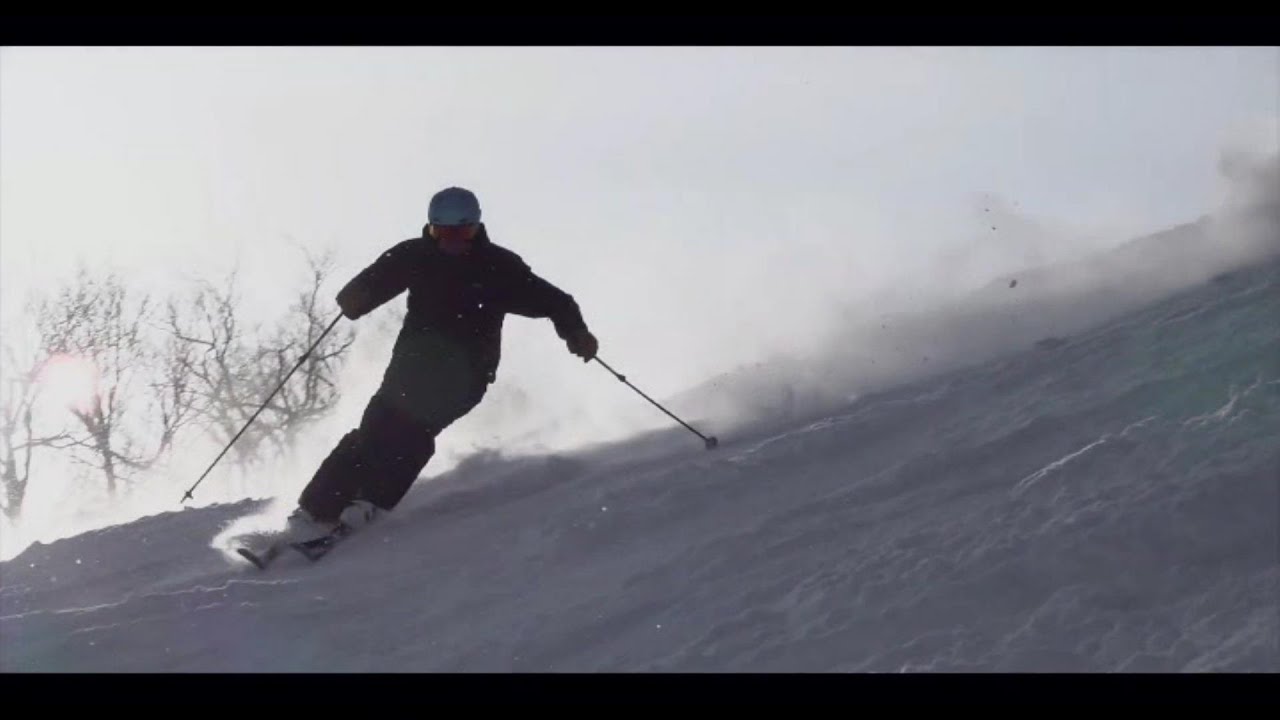 Ski Carving 10