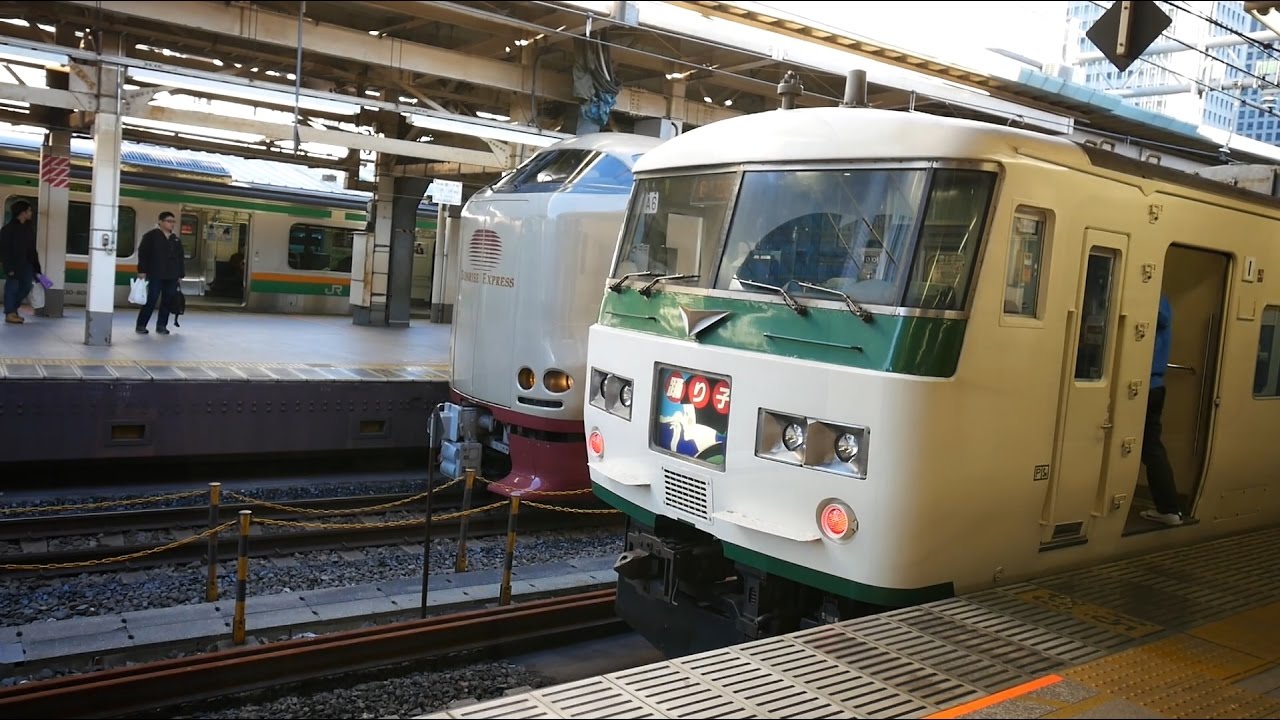 JR東日本 特急踊り子１０１号 （185系運行） 超広角車窓 進行左側 東京～伊豆急下田