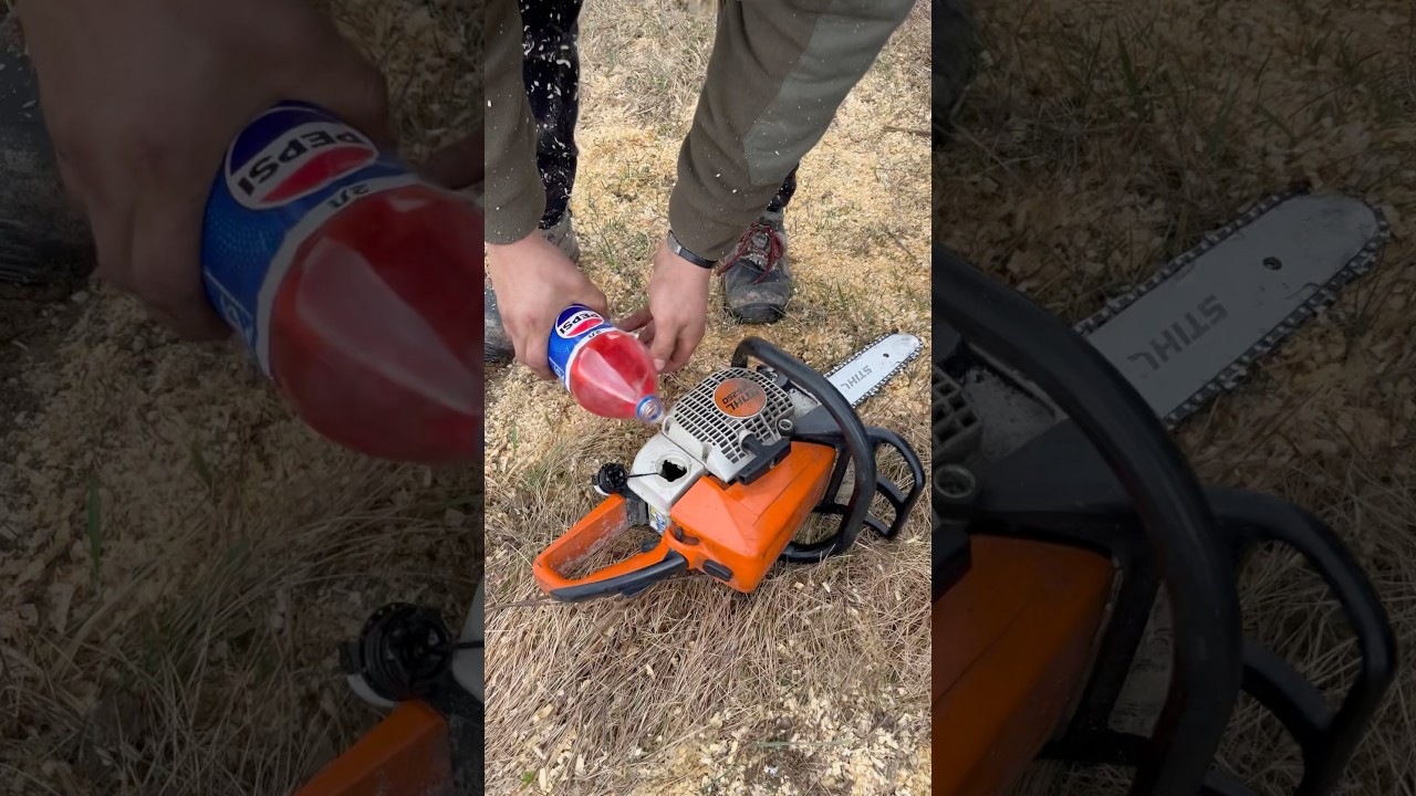 STIHL - MS 250 PEPSI 😃✅ #chainsaw #stihl #forest