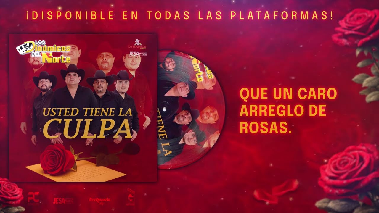 Los Dinámicos del Norte - Usted Tiene la Culpa (video Lyrics)