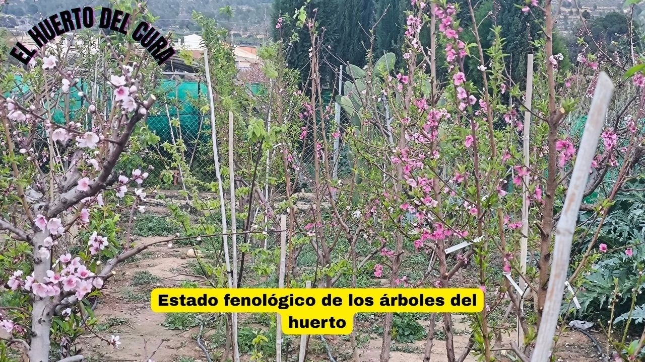 Estado fenológico de los árboles del huerto