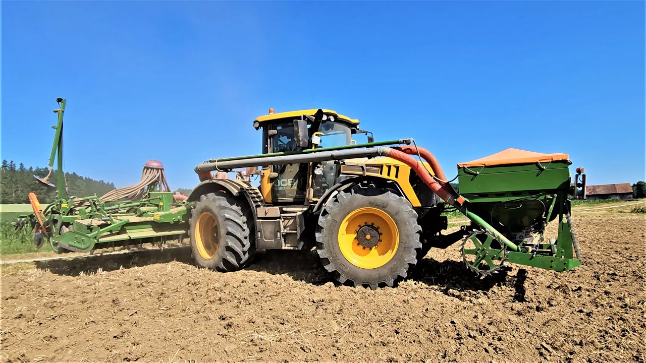 JCB 4220 iCON Power mit AMAZONE Avant 6 beim Zwischenfrucht säen