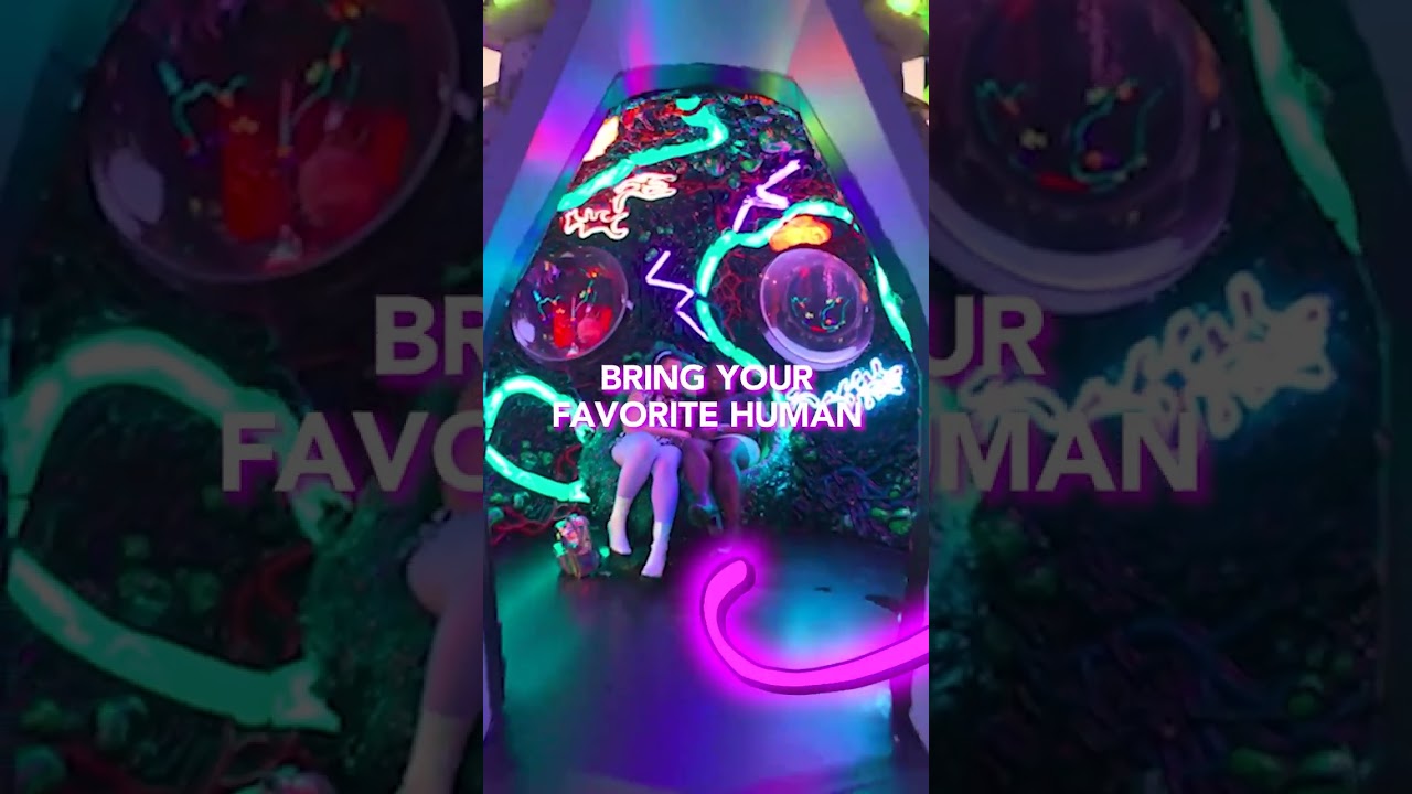 BOGO 50% Off | Meow Wolf Denver