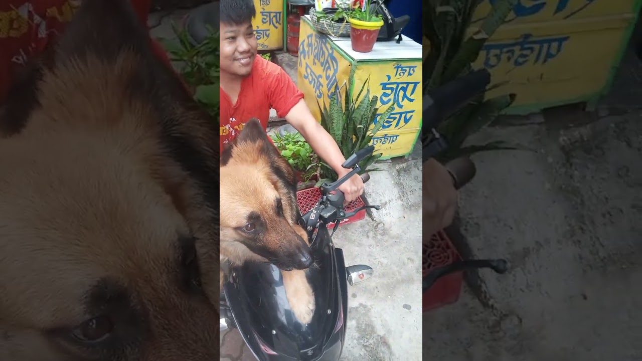 तातो तातो भात मैले हटकेसमा लाउँदैछु कति खान मन लाग्छ नि खानु हुँदैन
