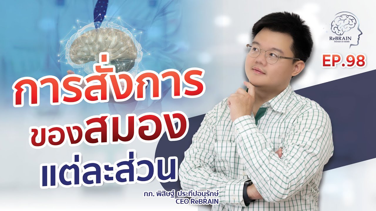 Ep.98 การสั่งการของสมองแต่ละส่วน | กายภาพบำบัดโรคหลอดเลือดสมอง
