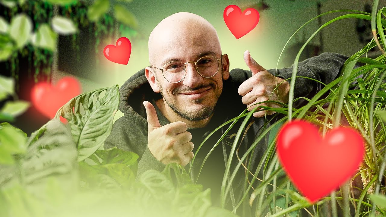 Ma meilleure thérapie
