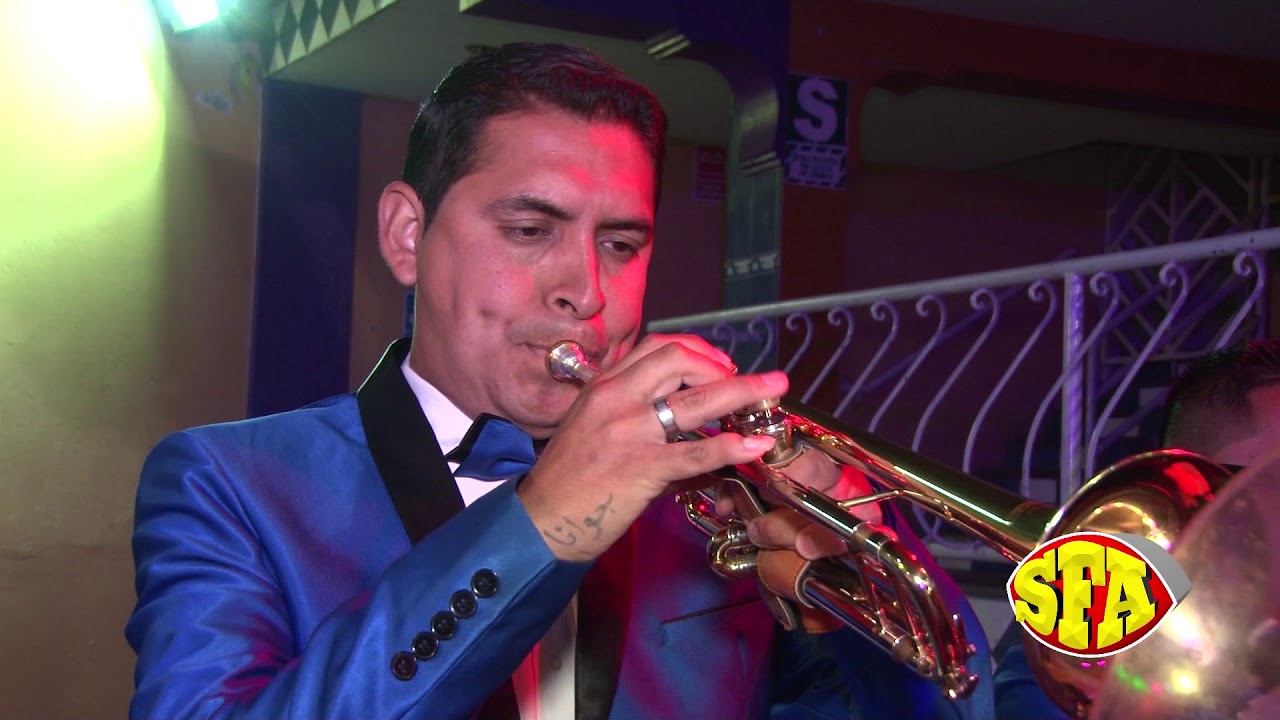 Mix Necesito un Amor - Temerarios Saxocumbia (En vivo)