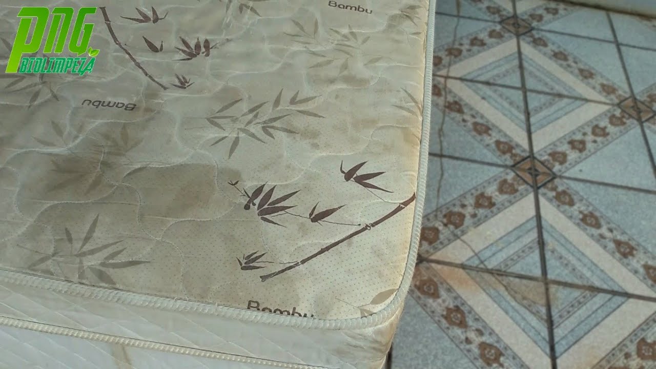 Limpando Mais Um Colchão Abandonado