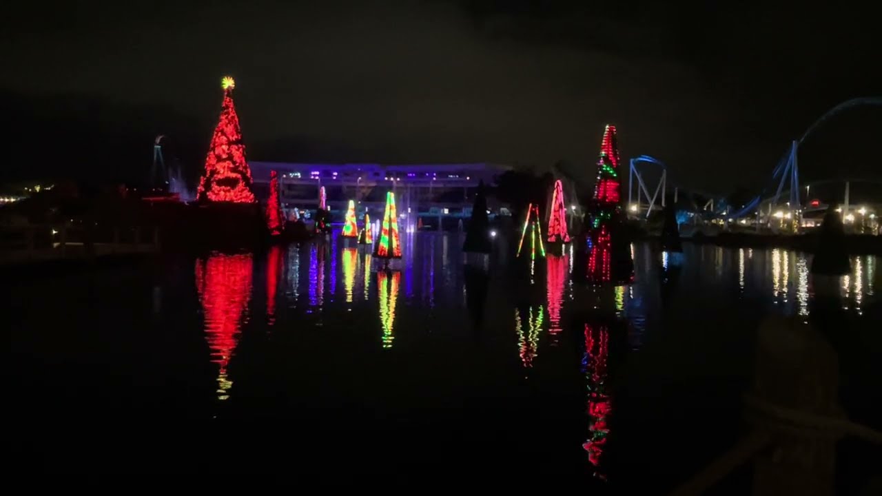 Sea Of Trees at Sea World Orlando’s Christmas Celebration 