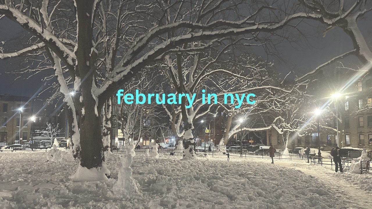 the coldest coziest february in nyc
