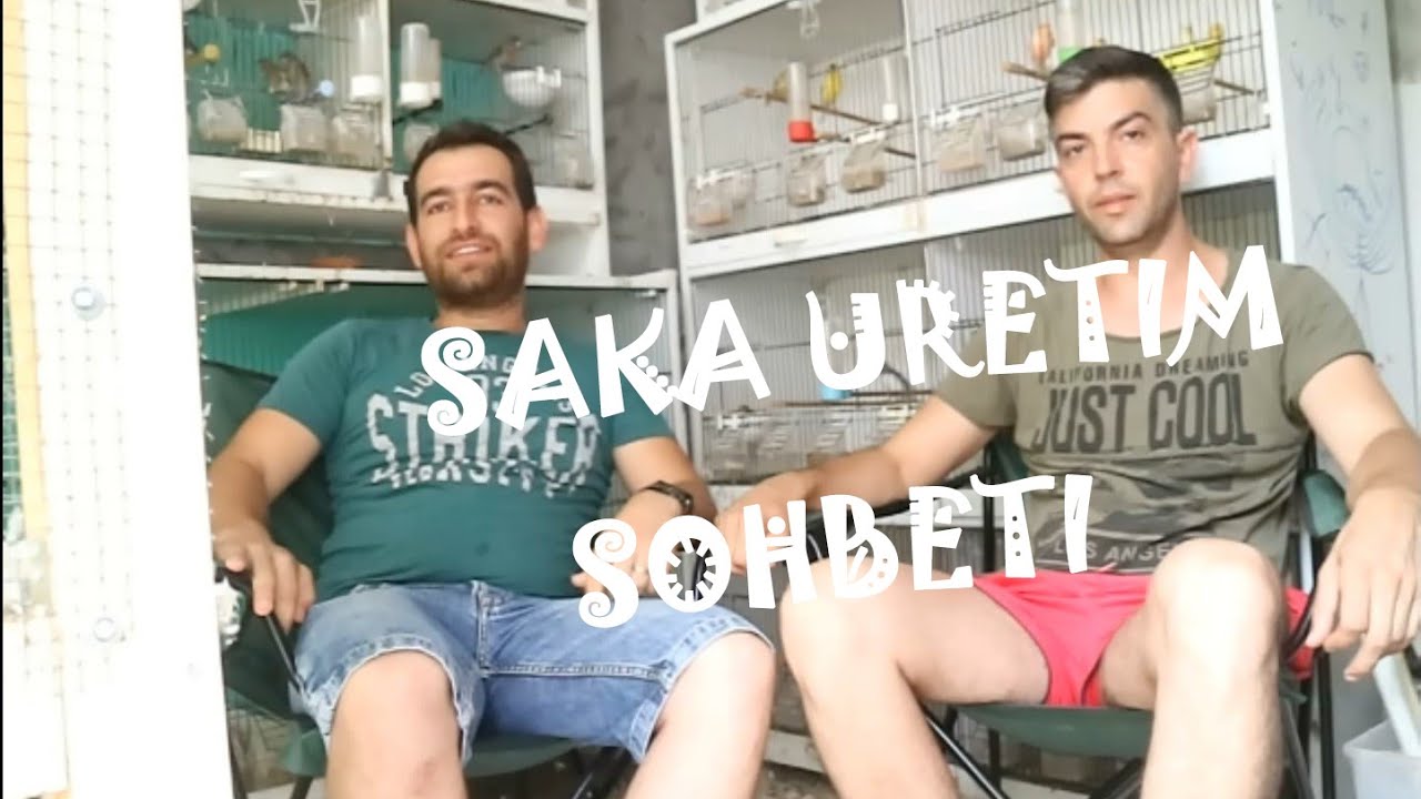 Doğada Üremiş Saka Kuşunu Kafeste Üretmek