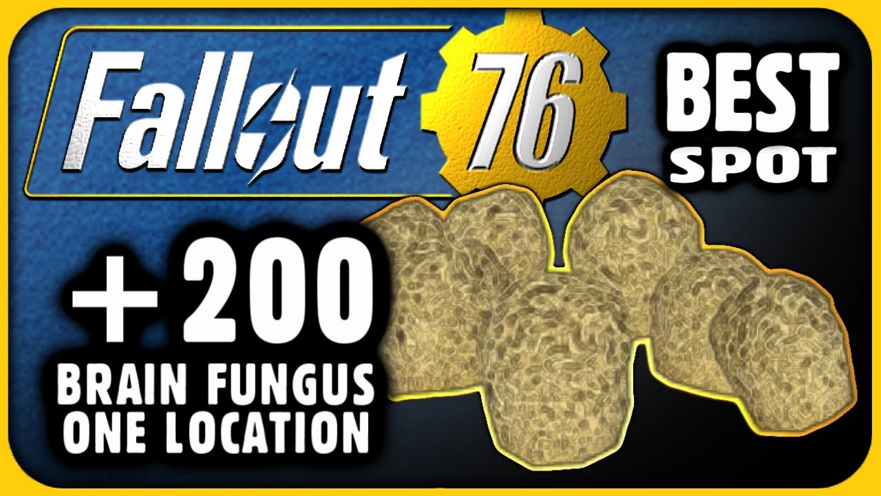 Best Brain Fungus Location & How To Farm Plants In Fallout 76
