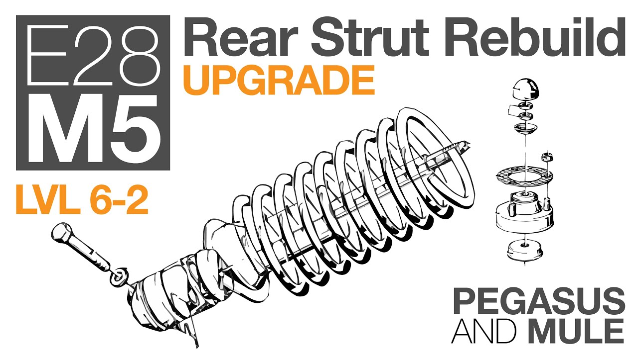 BMW E28 M5:  LVL 6-2 Rear Strut Rebuild SLS Replacement Upgrade