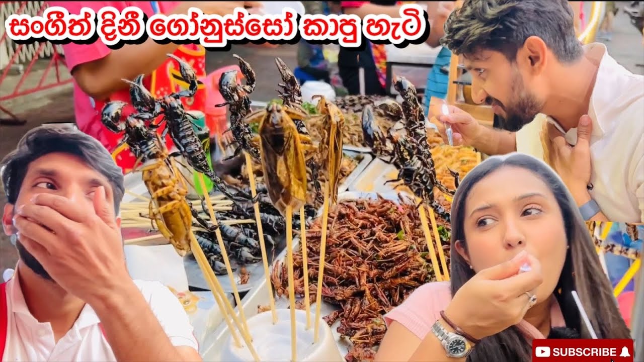 සංගීත් දිනී ගෝනුස්සෝ කාපු හැටි😱🦂Sangeeth Dini Vlogs| Bangkok diaries| china town| golden temple