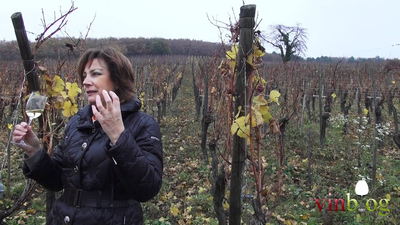 Alsace Grand Cru Furstentum