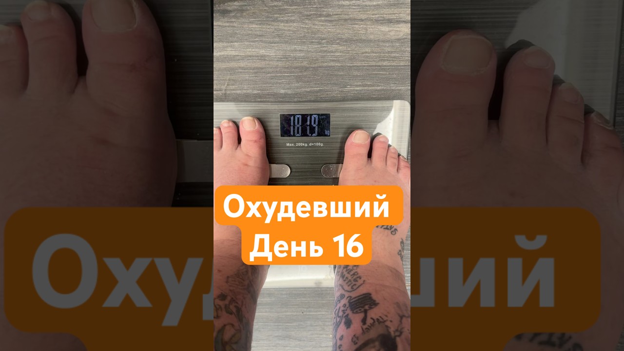 Охудевший день 16 &hellip;.