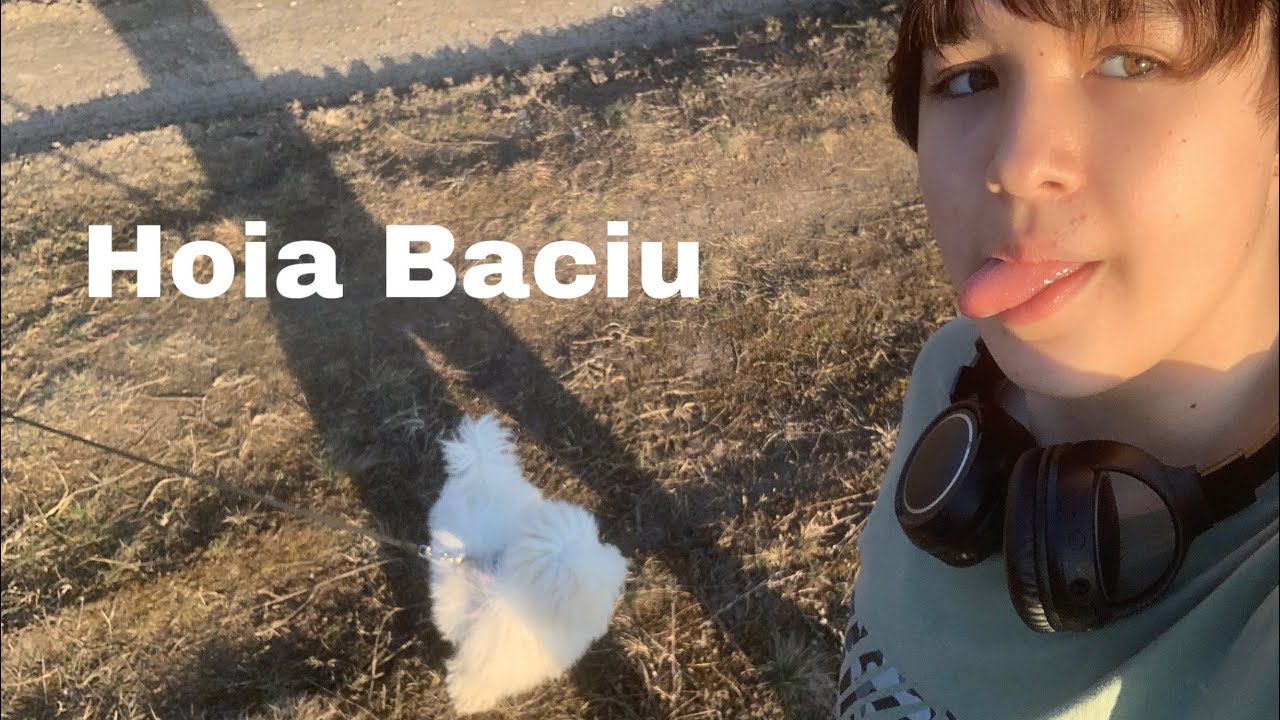 Haideți cu mine în Hoia Baciu. (Am venit la partea bântuită)