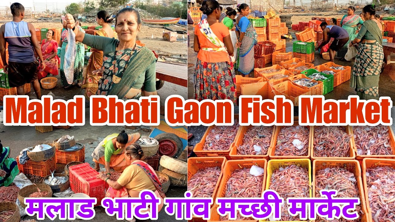 Malad Bhati Goan Fish Market 2023 Update Quality & Price 😱 #malad #fishmarket #bhatigoan #vlogs