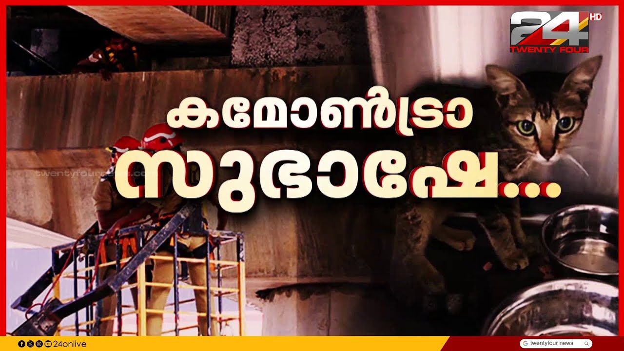രക്ഷാപ്രവർത്തകരെ വട്ടംകറക്കി സുഭാഷ്; പില്ലറിന് മുകളിൽ പൂച്ച ഒളിച്ചുകളി തുടരുന്നു